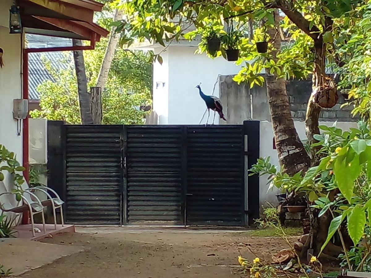 4Ty Two Homestay Galle Zewnętrze zdjęcie