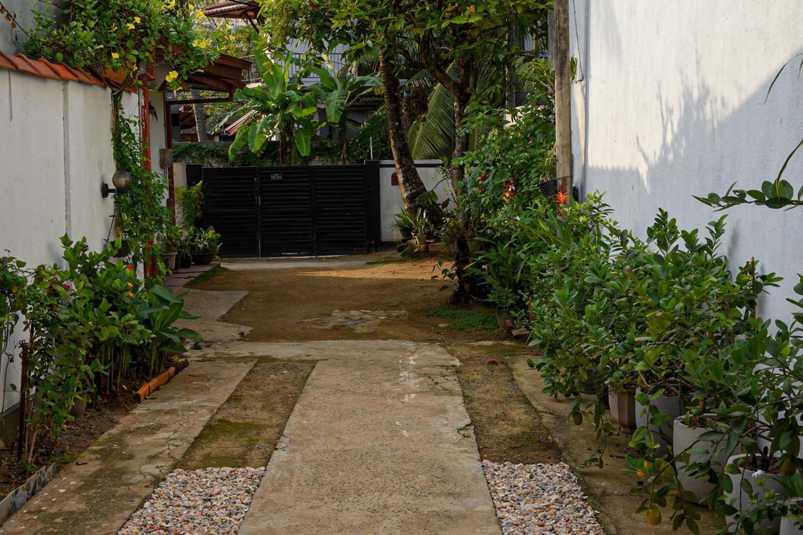 4Ty Two Homestay Galle Zewnętrze zdjęcie