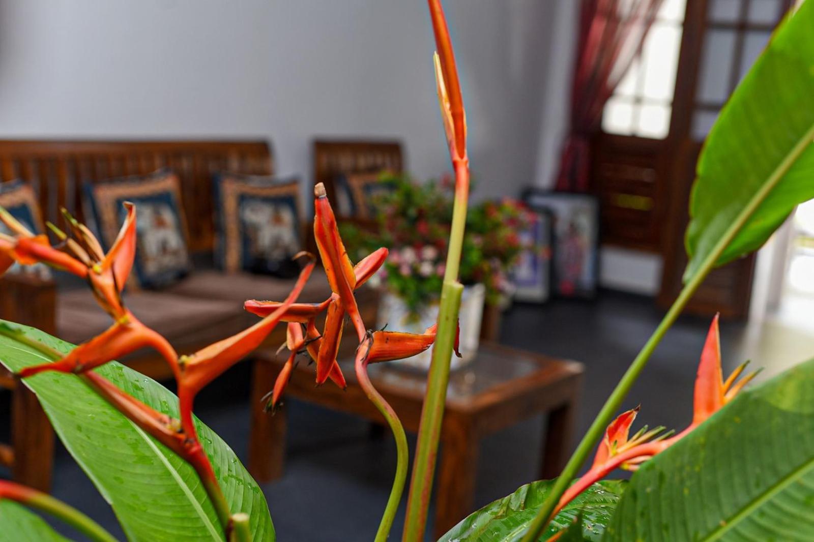 4Ty Two Homestay Galle Zewnętrze zdjęcie